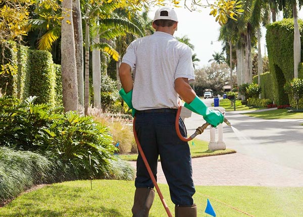 About River Forest IL Pest Control